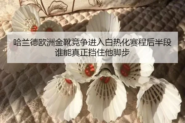 哈兰德欧洲金靴竞争进入白热化赛程后半段谁能真正挡住他脚步
